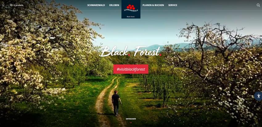 Website Promotion
