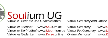 Logo der Firma Soulium UG (haftungsbeschränkt)