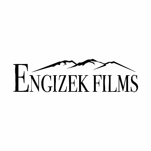 Logo der Firma Engizek Films GmbH