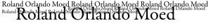 Logo der Firma R.O.M. - Roland Orlando Moed