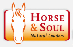 Logo der Firma HORSE & SOUL