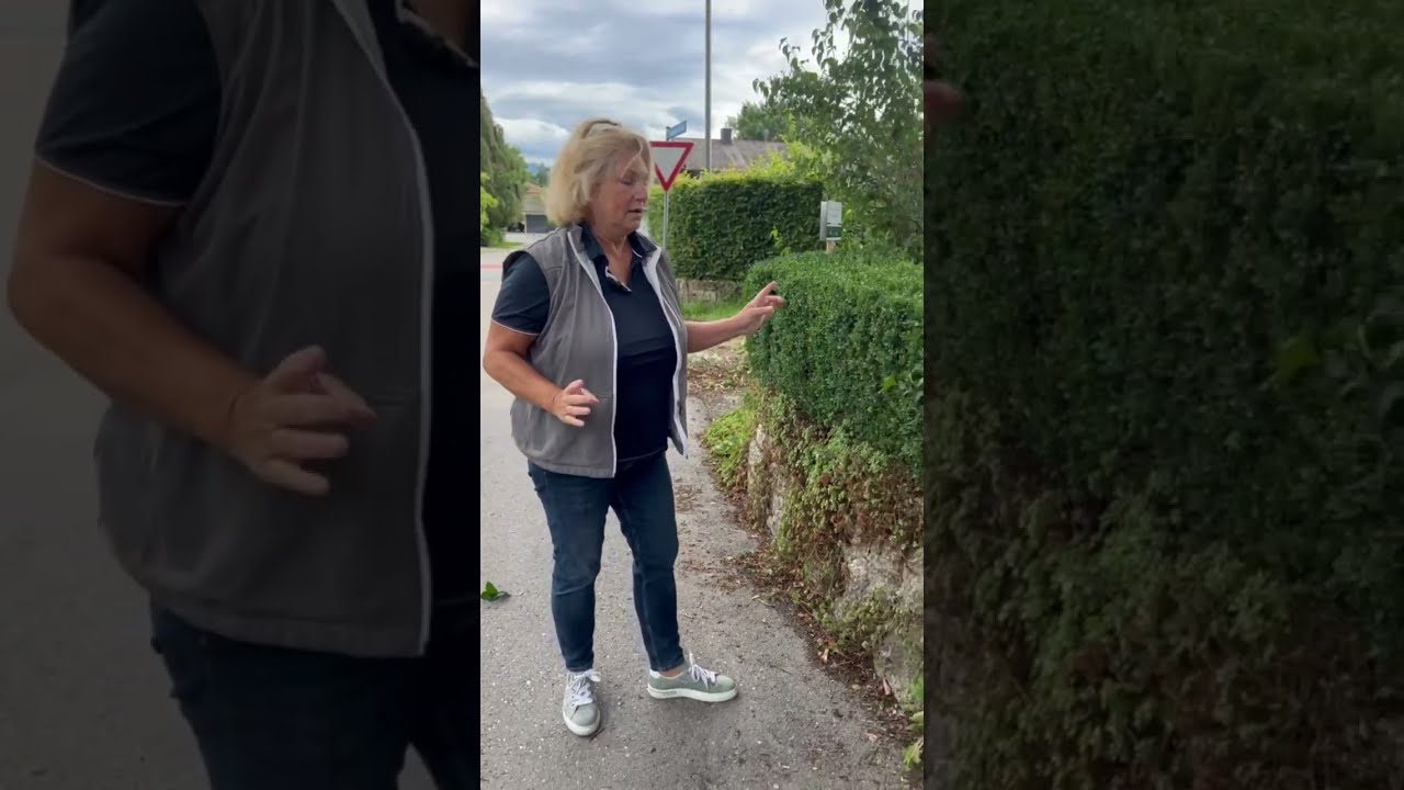 Die Buchsbaumhecke vor dem Zünsler schützen - mit buxit® - die mechanische Lösung zur Abwehr