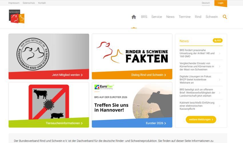 Website Promotion