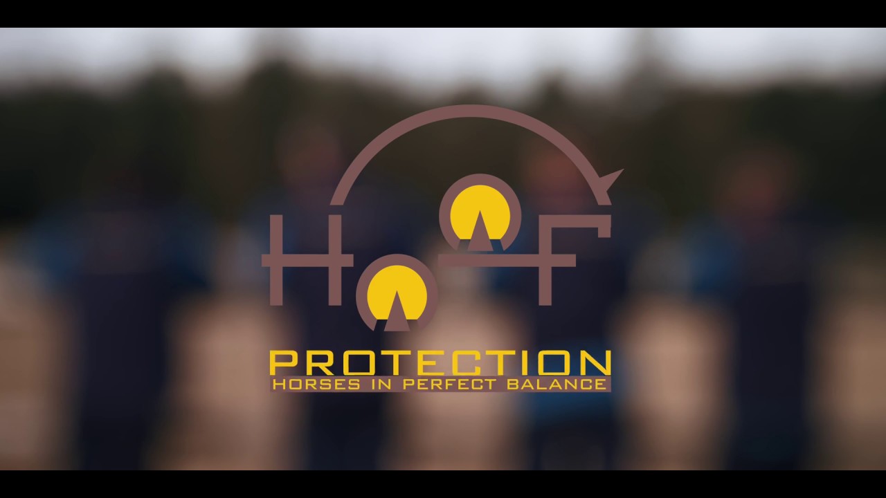 Imagevideo Hufschmied: Hoofprotection- Das Team der Spezialisten