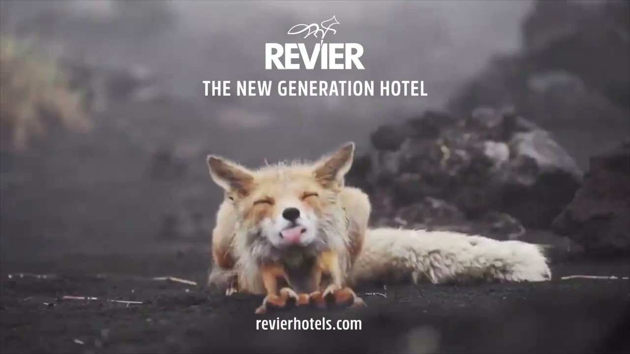 REVIER | The New Generation Hotels