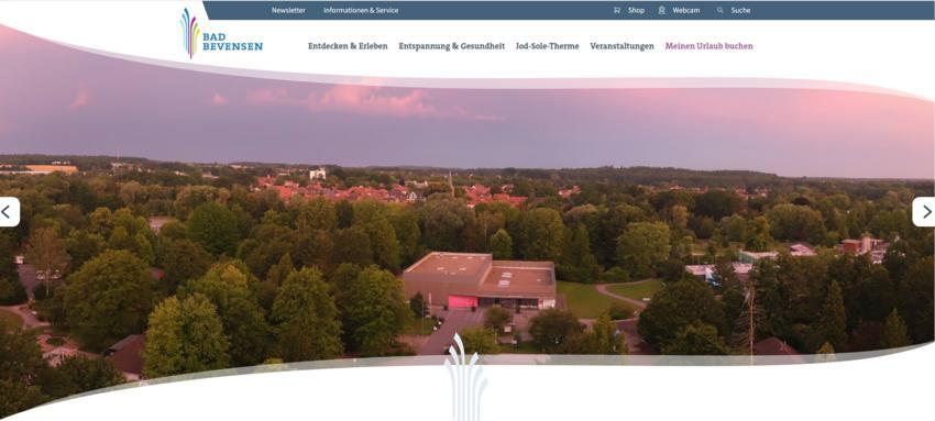 Website Promotion