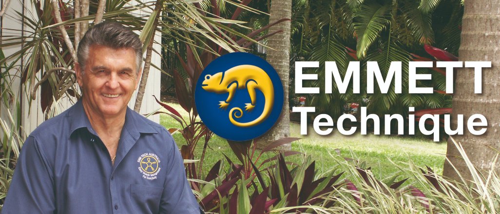 Titelbild der Firma EMMETT-Schule Deutschland