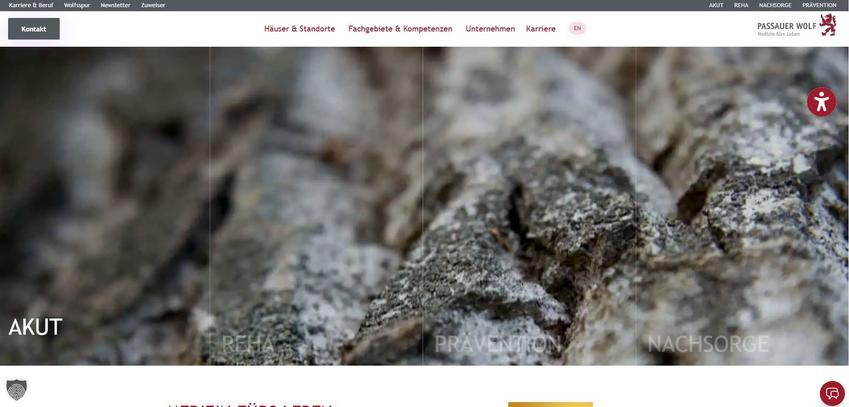 Website Promotion