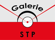 Logo der Firma Galerie STP - Dr. Peter Konschake