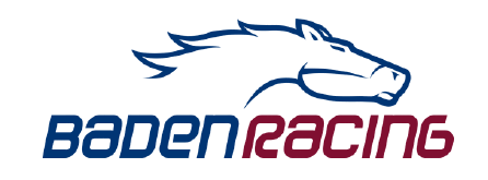 Logo der Firma Baden Racing GmbH