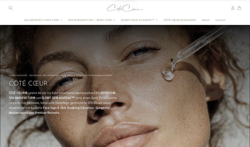 Website Promotion