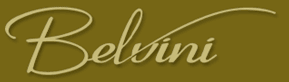 Logo der Firma BELVINI.DE GmbH