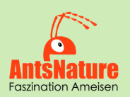 Logo der Firma AntsNature - Faszination Ameisen