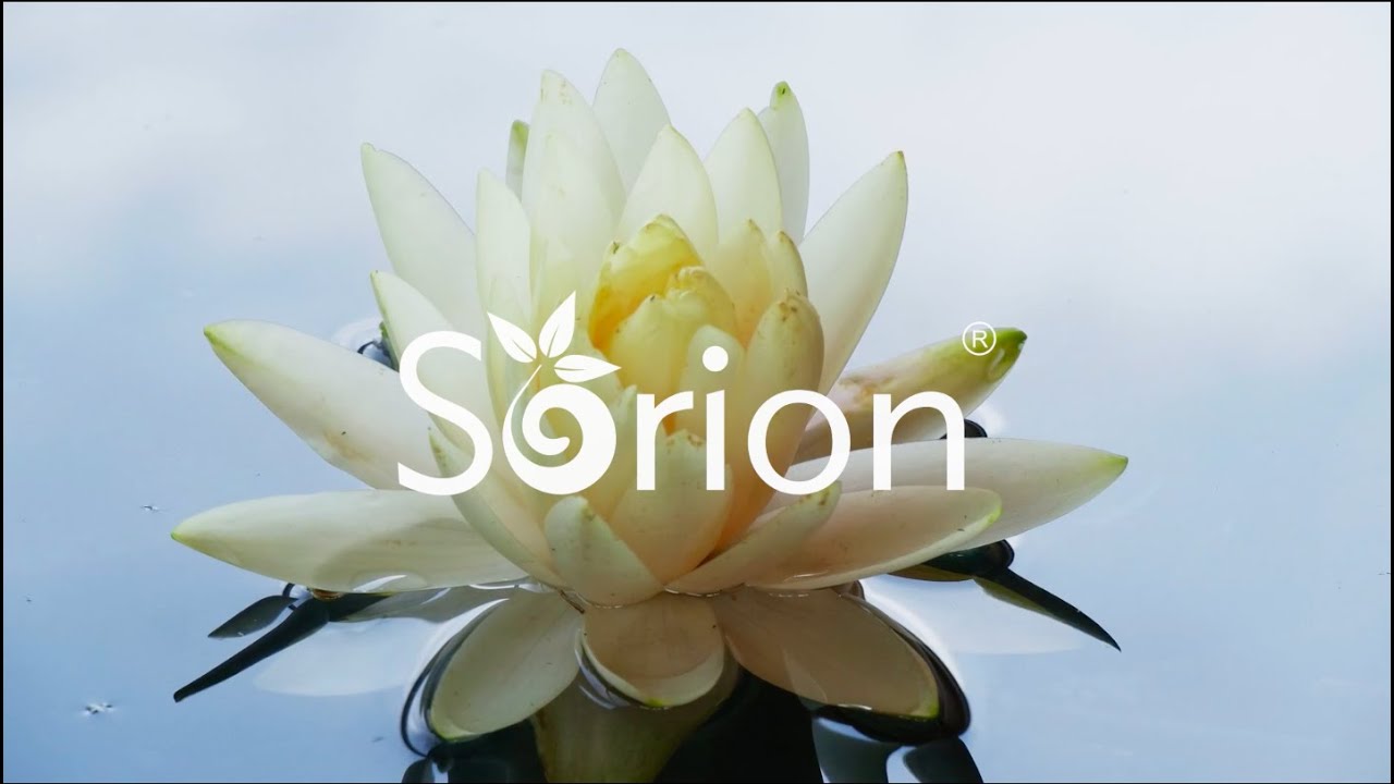 Sorion Imagevideo