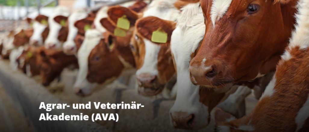Titelbild der Firma Agrar- und Veterinär-Akademie (AVA)