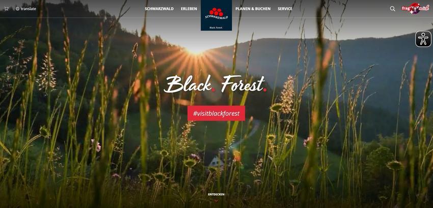 Website Promotion