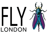 Logo der Firma Fly London