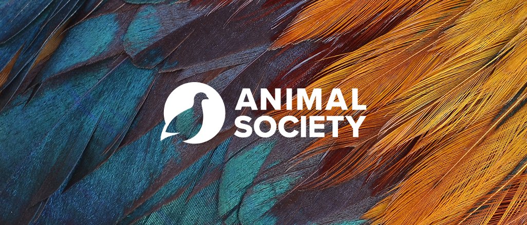 Titelbild der Firma Animal Society e.V.