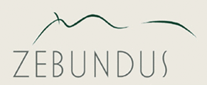 Logo der Firma ZEBUNDUS GmbH & Co. KG