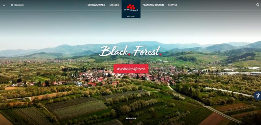 Website Promotion