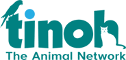 Logo der Firma Tinoh