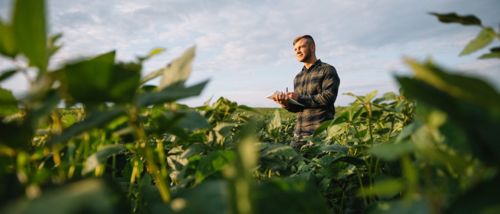 Titelbild der Firma BENEO GmbH