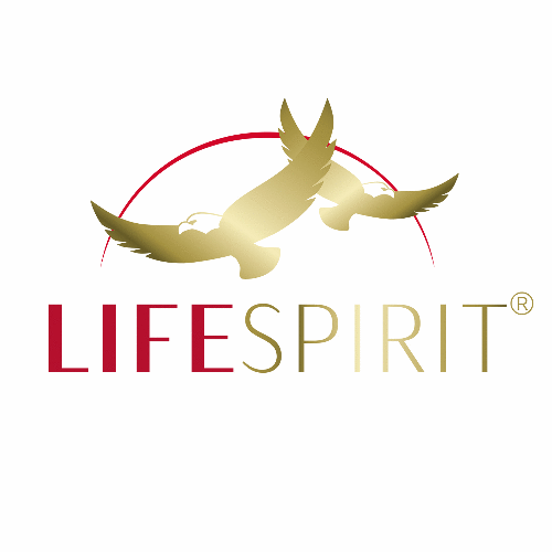 Logo der Firma LIFESPIRIT® Stiftung