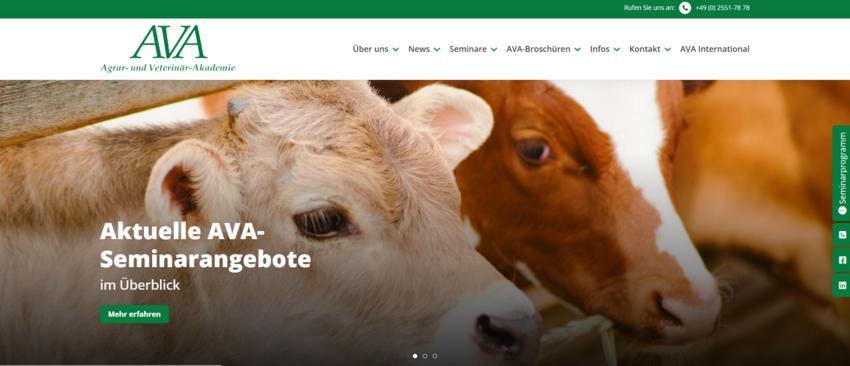 Website Promotion