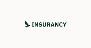 Logo der Firma Finsurancy - Finance & Insurance UG (haftungsbeschränkt)