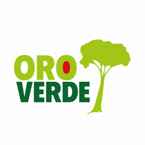 Logo der Firma OroVerde - Die Tropenwaldstiftung