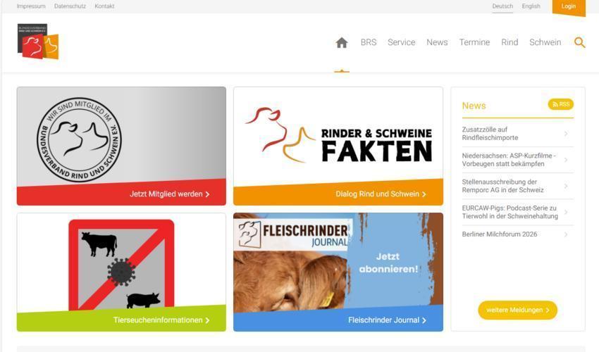 Website Promotion