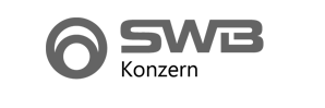 Logo der Firma Stadtwerke Bonn GmbH