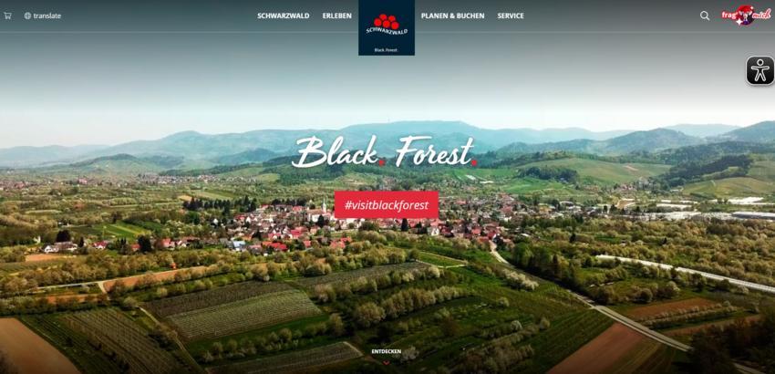 Website Promotion