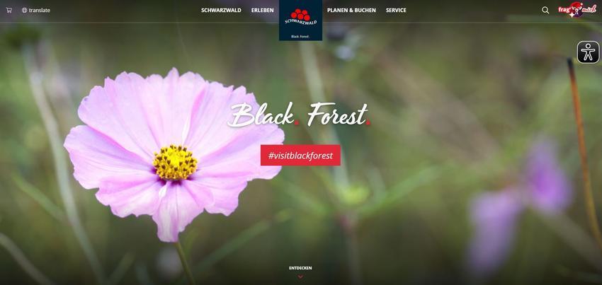 Website Promotion