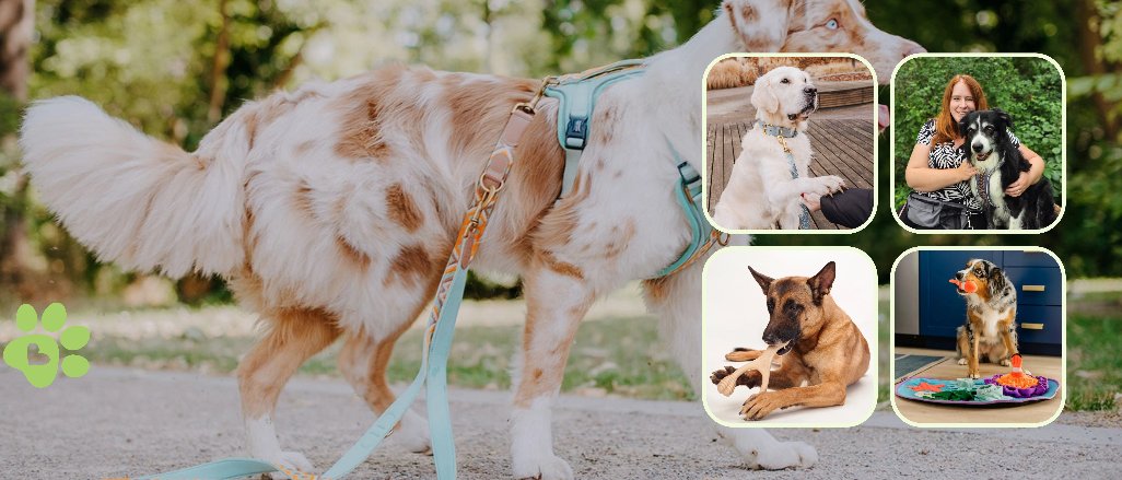 Titelbild der Firma Pfotenlieblinge