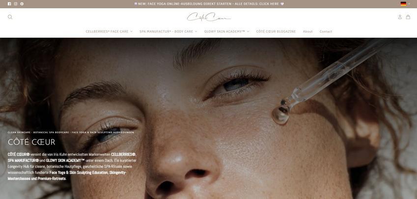 Website Promotion