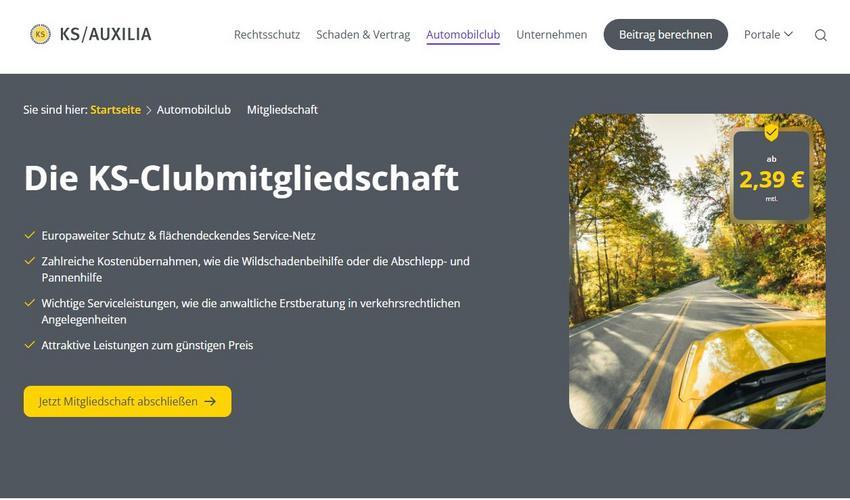 Website Promotion