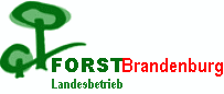 Logo der Firma Landesbetrieb Forst Brandenburg