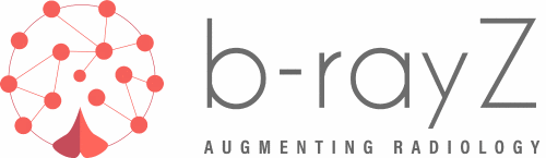 Logo der Firma b-rayZ AG