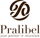 Logo der Firma Pralibel NV