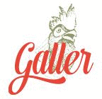 Logo der Firma Weingut Galler