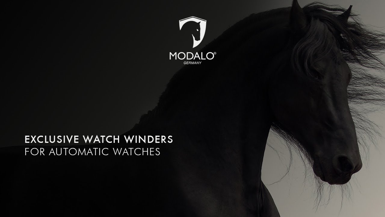 MODALO Watch Winders (Teaser 2020)