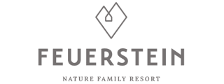 Logo der Firma Feuerstein GmbH
