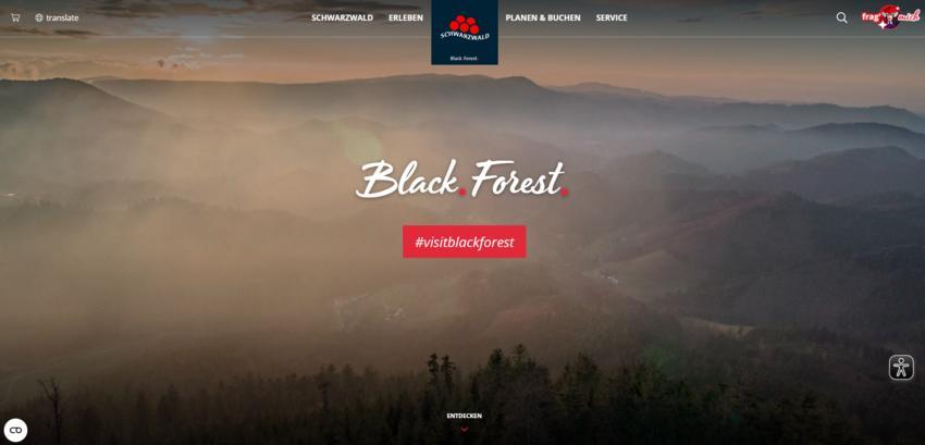 Website Promotion