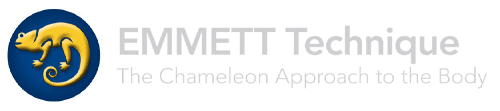 Logo der Firma Emmett-Technique