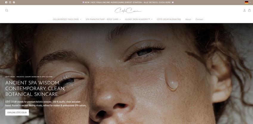 Website Promotion