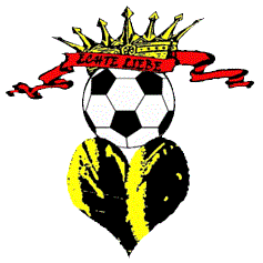 Logo der Firma BVB Fanclub Herz des Nordens e.V.