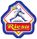 Logo der Firma Teigwaren Riesa GmbH