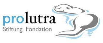 Logo der Firma Stiftung Pro Lutra
