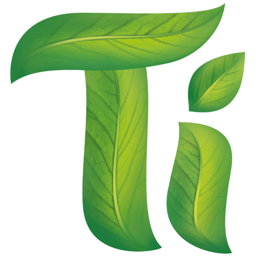 Logo der Firma Teeküche GmbH